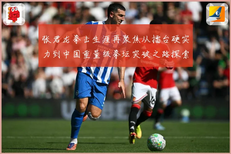 张君龙拳击生涯再聚焦从擂台硬实力到中国重量级拳坛突破之路探索-深度解析